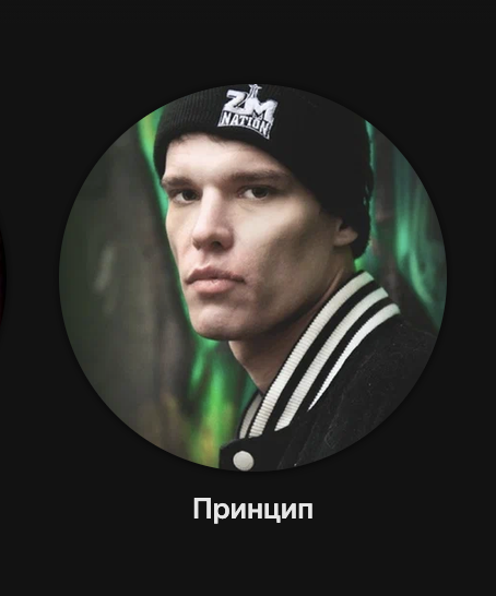 Принцип